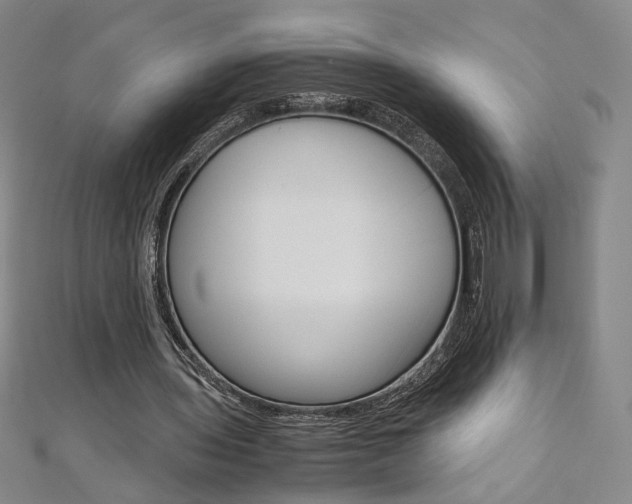 X0000110970435200906191114