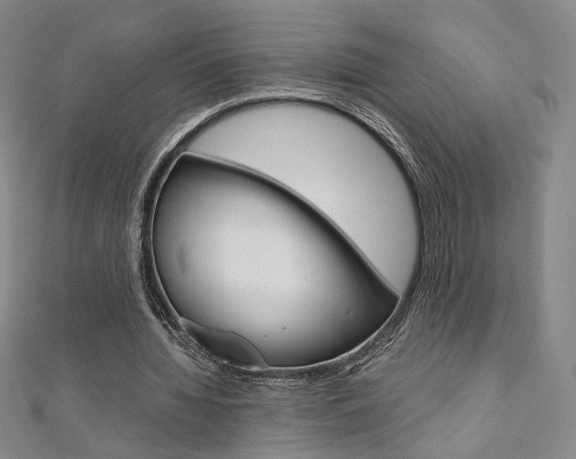 X0000110970436200906191114