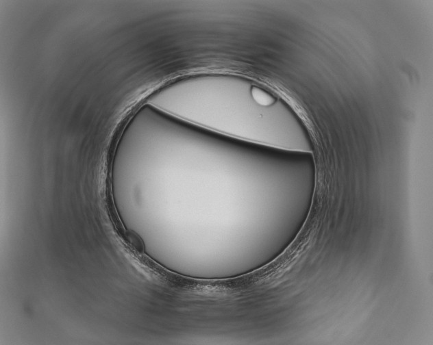 X0000110970437200906191114