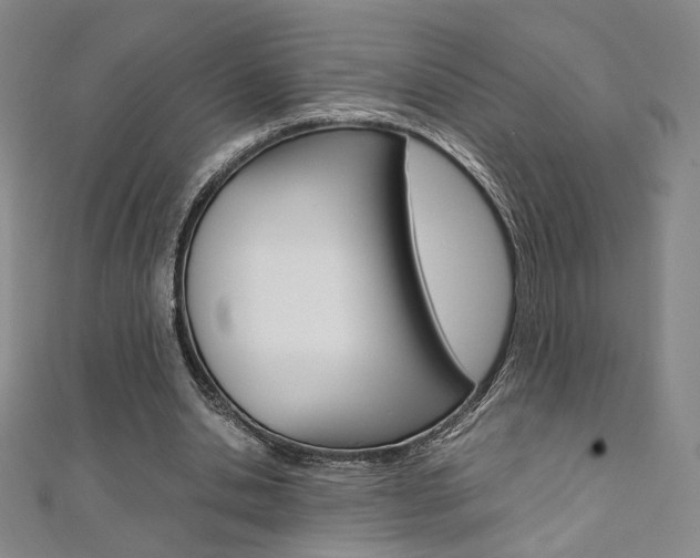 X0000110970438200906191114
