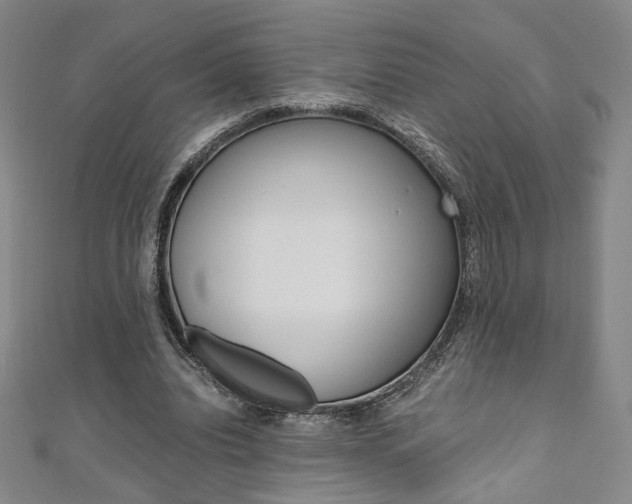 X0000110970440200906191114