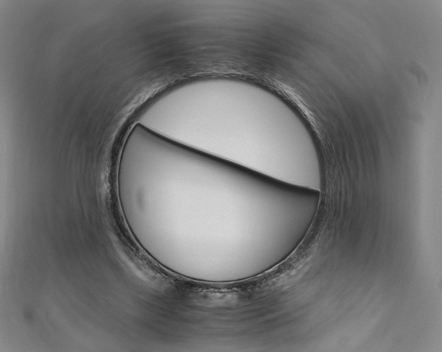 X0000110970443200906191114