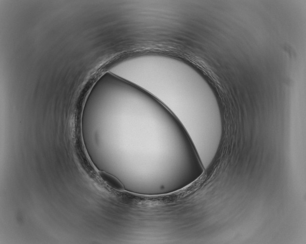 X0000110970444200906191114