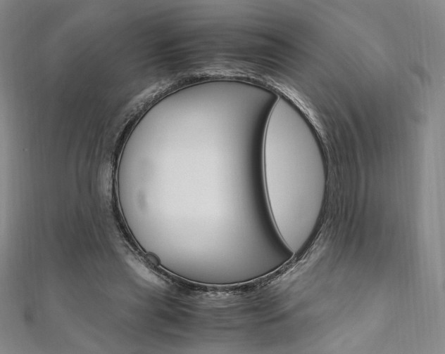 X0000110970445200906191114