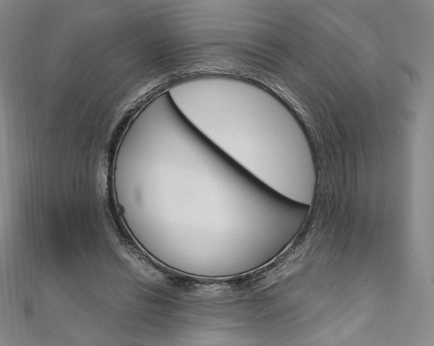 X0000110970446200906191114