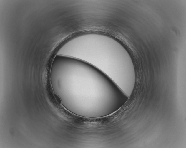 X0000110970448200906191114