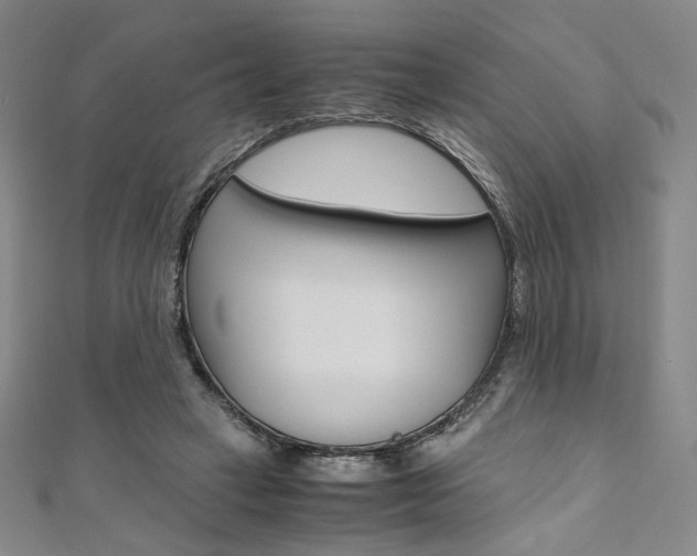 X0000110970449200906191114