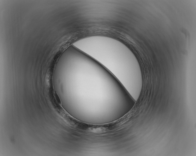 X0000110970452200906191114