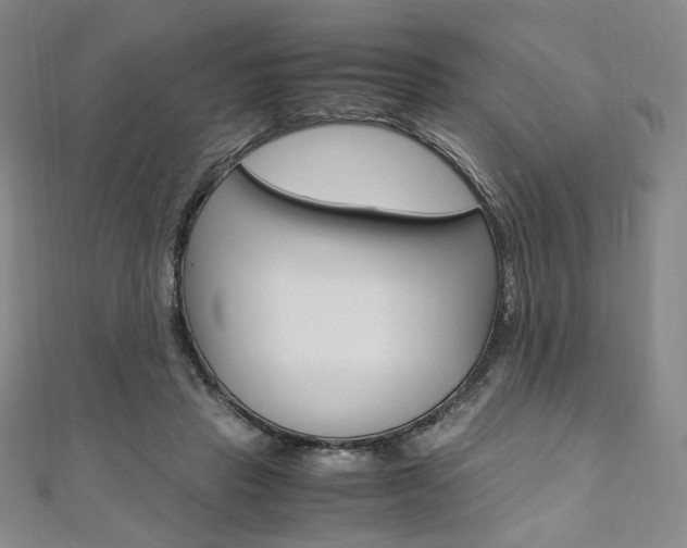 X0000110970453200906191114