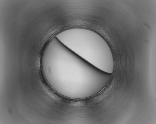 X0000110970454200906191114