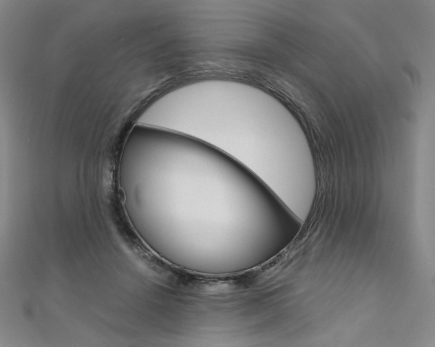 X0000110970456200906191114