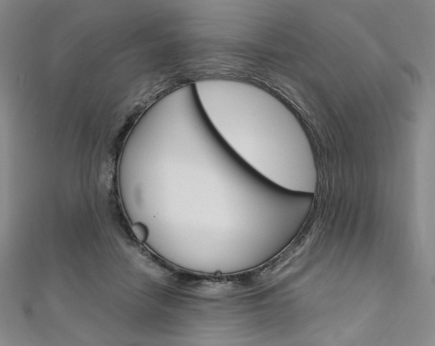 X0000110970458200906191114