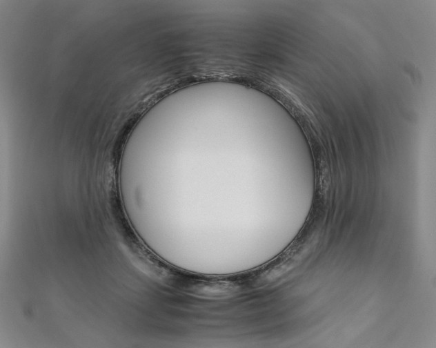 X0000110970459200906191114