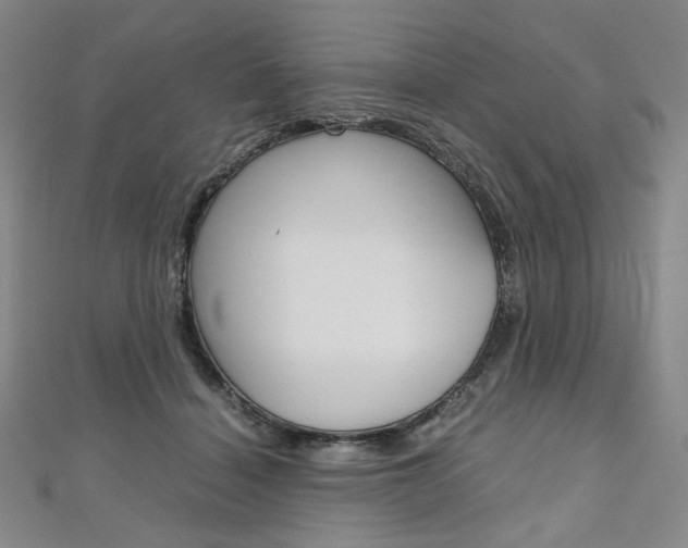 X0000110970460200906191114