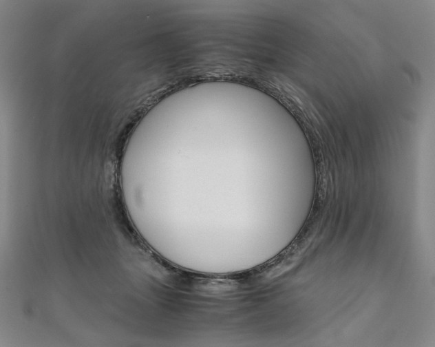 X0000110970463200906191114