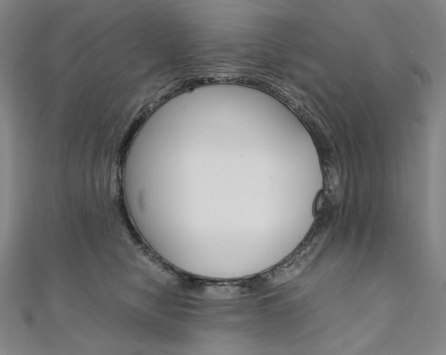 X0000110970470200906191114