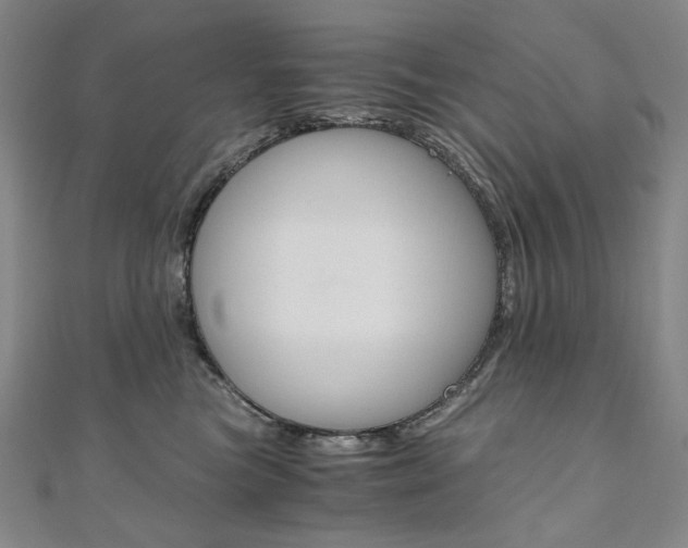 X0000110970473200906191114