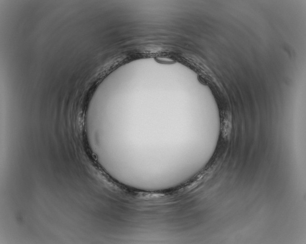 X0000110970476200906191114