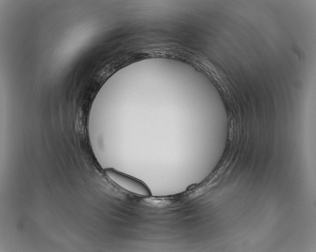 X0000110970477200906191114
