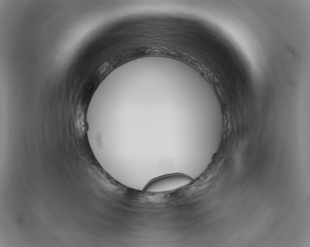 X0000110970479200906191115