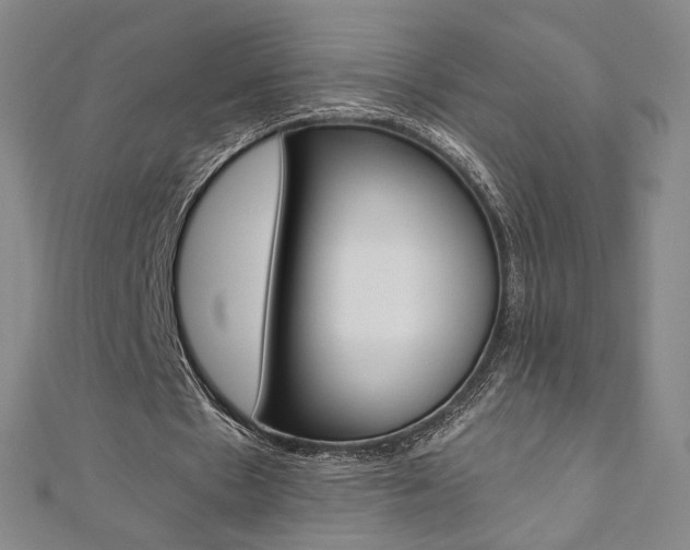 X0000110970481200906191114