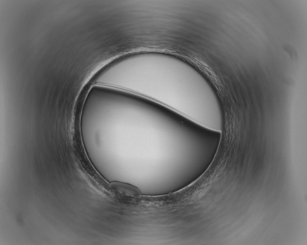 X0000110970484200906191114