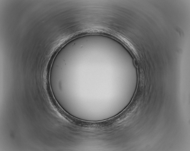 X0000110970485200906191114