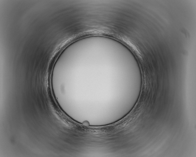 X0000110970486200906191114