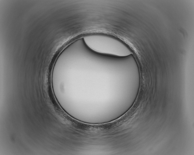 X0000110970487200906191114