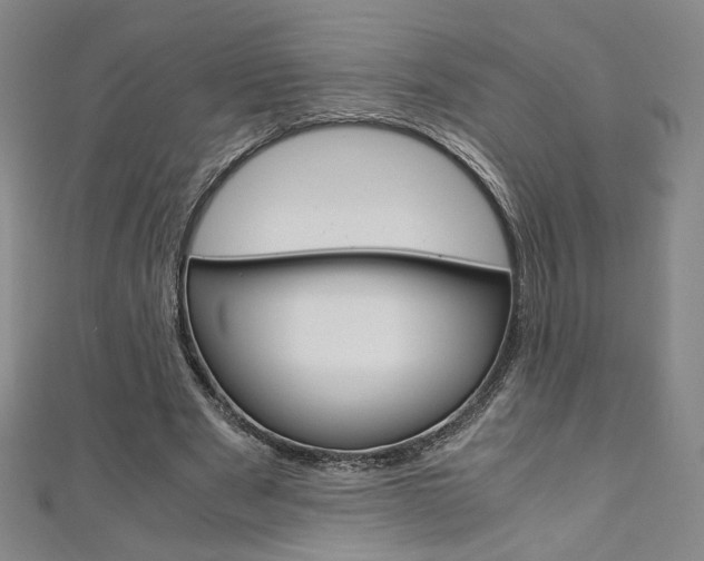 X0000110970489200906191114