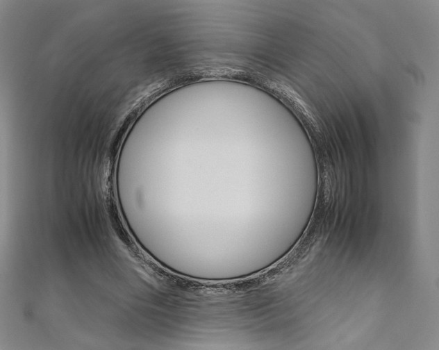 X0000110970490200906191114
