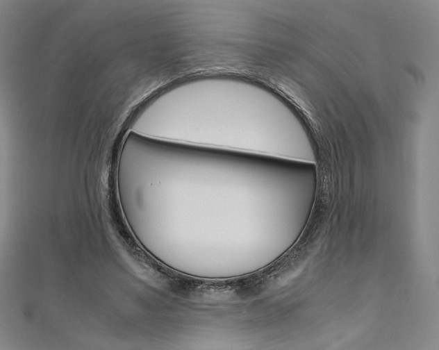 X0000110970491200906191114