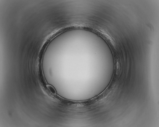 X0000110970492200906191114