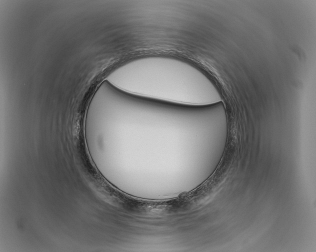 X0000110970495200906191114