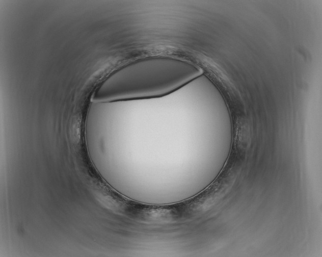 X0000110970501200906191114