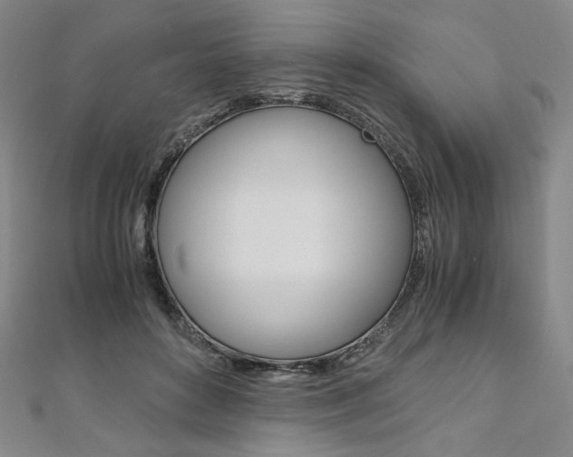 X0000110970504200906191114