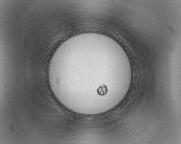 X0000110970505200906191114