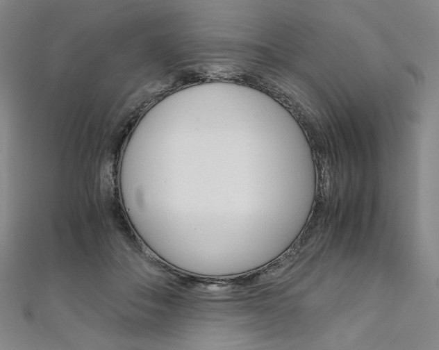 X0000110970506200906191114
