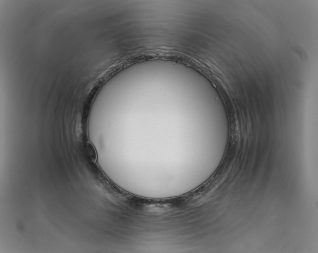 X0000110970508200906191114