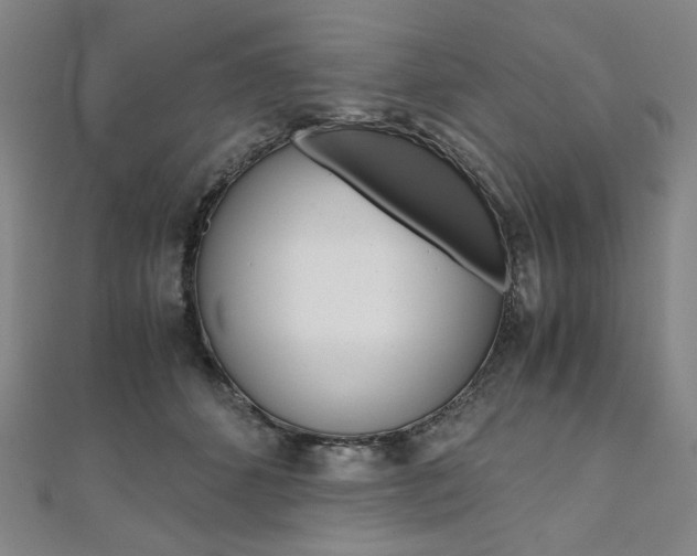 X0000110970512200906191114