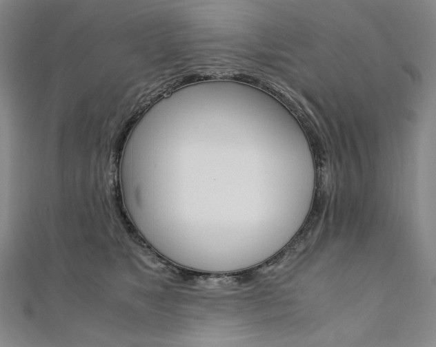 X0000110970517200906191113