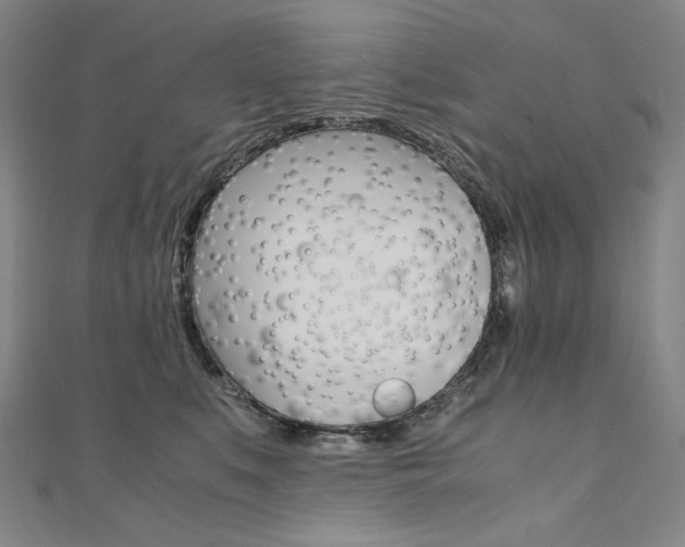 X0000110970519200906191113