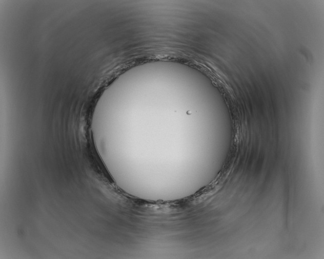 X0000110970524200906191113