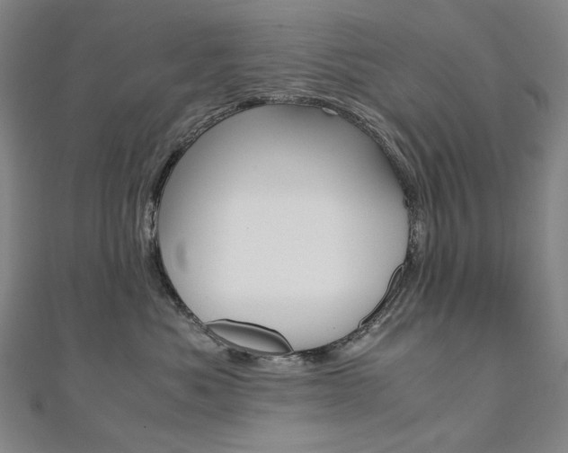 X0000110970525200906191113