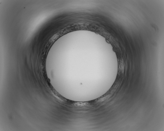 X0000110970526200906191113