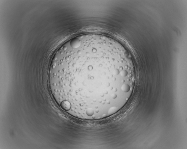 X0000110970529200906191113