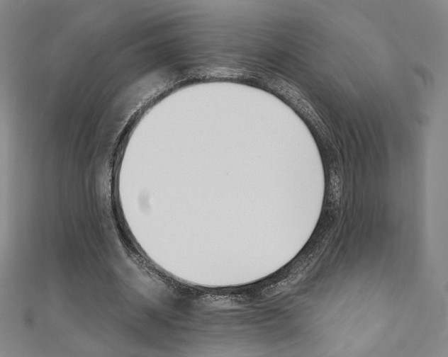 X0000110970534200906191113