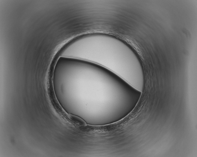 X0000110970536200906191113