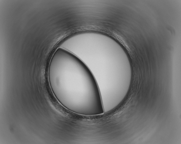 X0000110970538200906191113