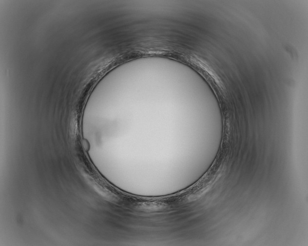 X0000110970541200906191113